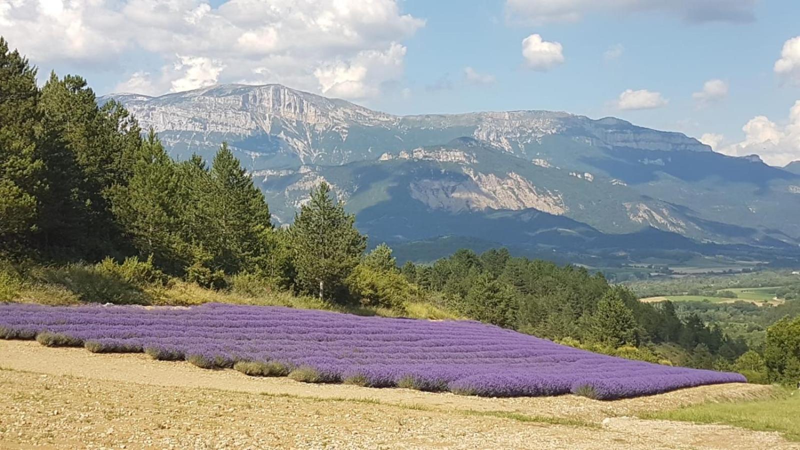 Le Glandasse Die Extérieur photo