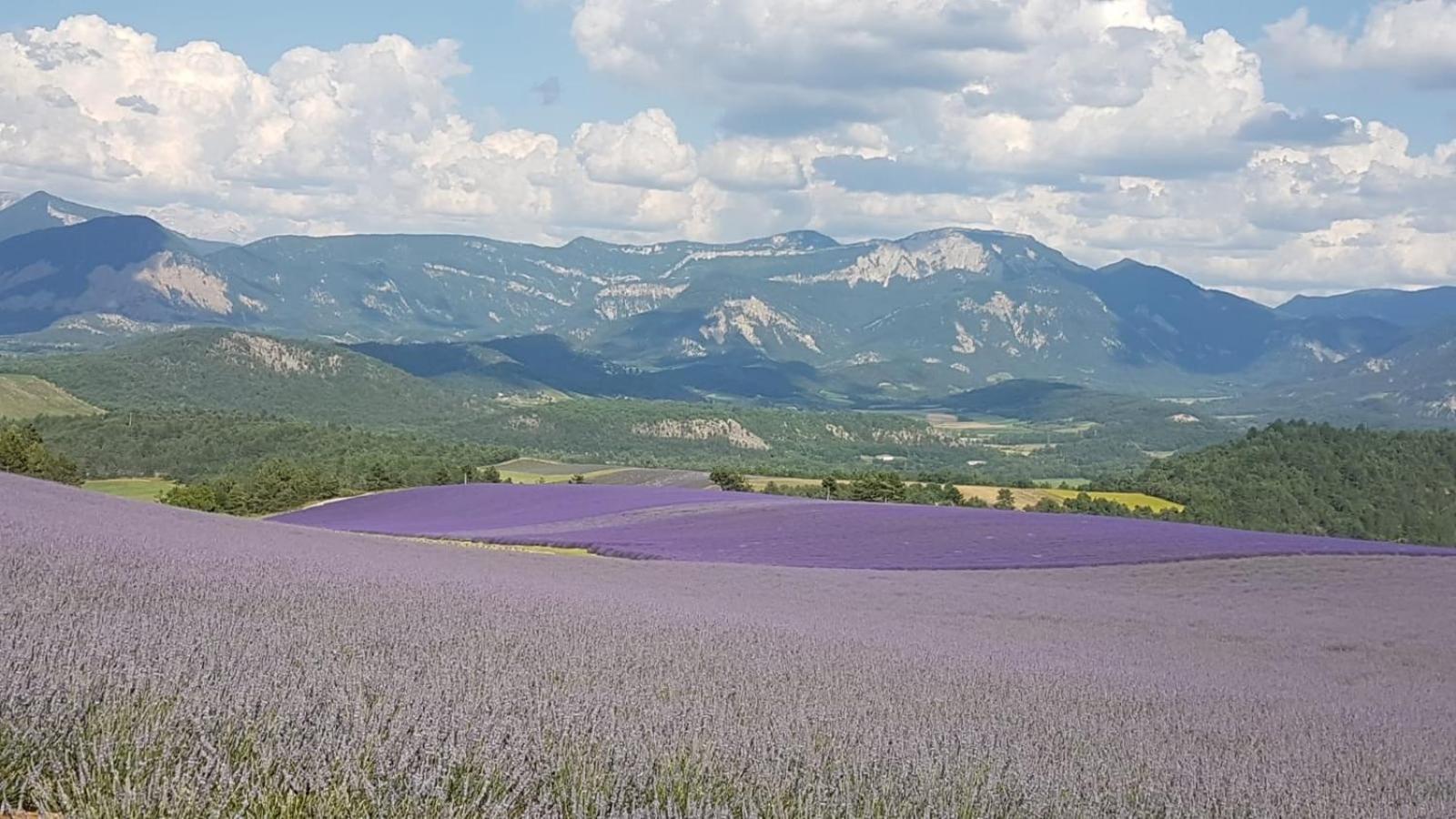Le Glandasse Die Extérieur photo